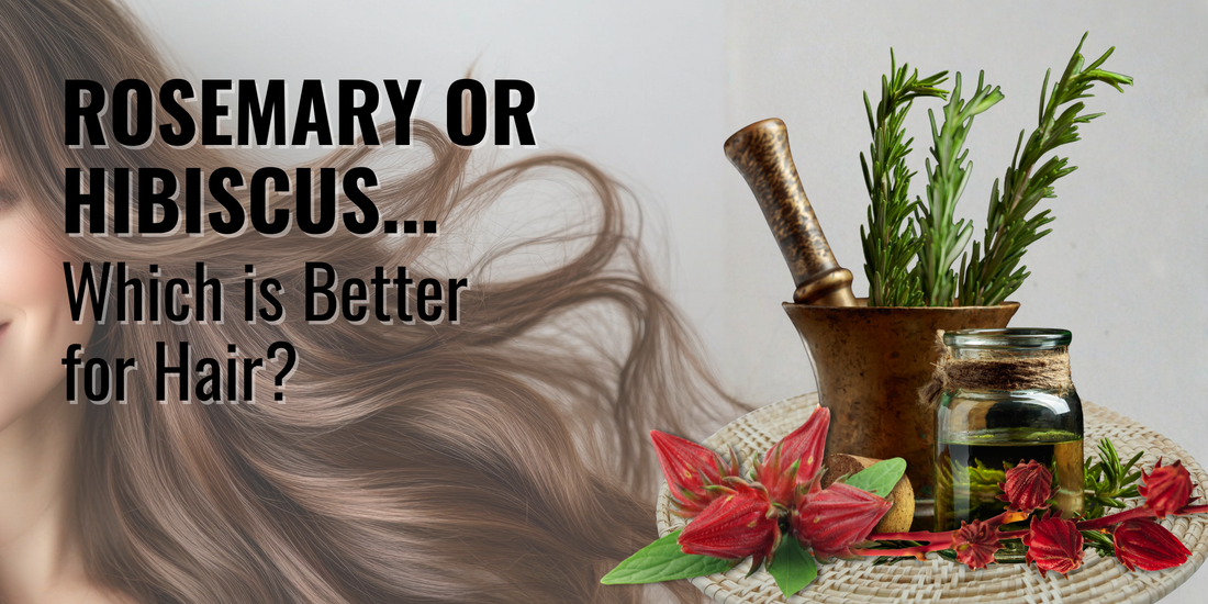 Rosemary or Hibiscus: Which is Better for Hair?