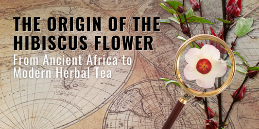 The Origin of the Hibiscus Flower