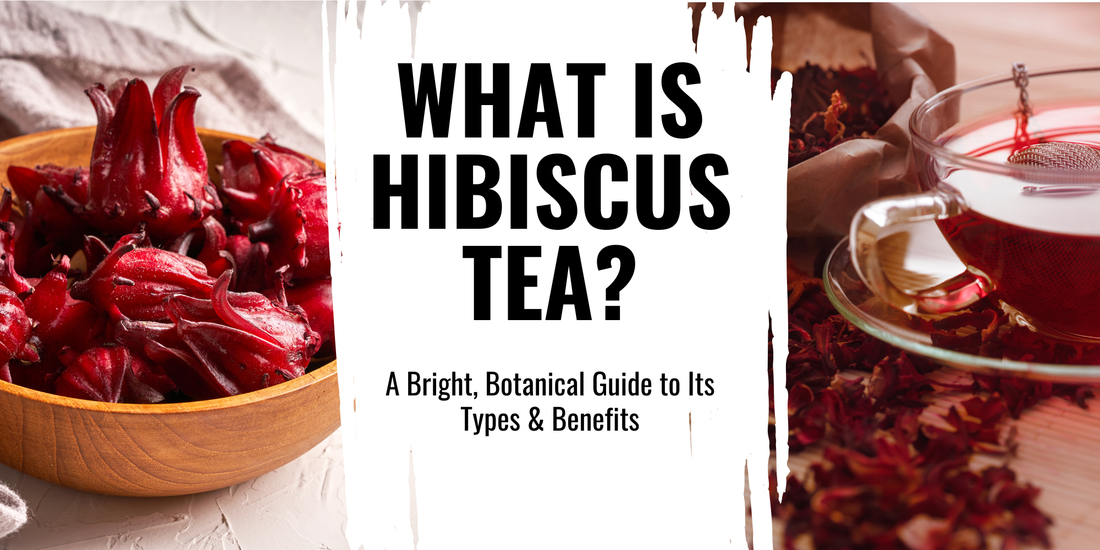 What Is Hibiscus Tea? A Bright, Botanical Guide to Its Types & Benefits