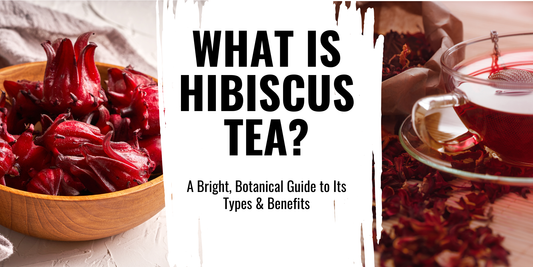 What Is Hibiscus Tea? A Bright, Botanical Guide to Its Types & Benefits